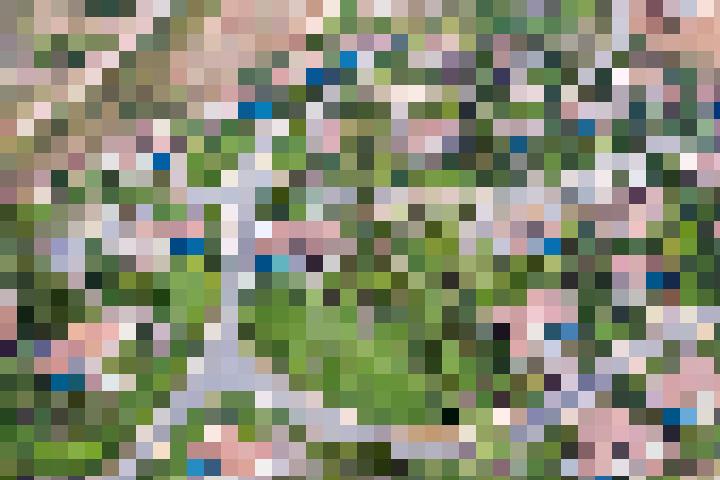 shutterstock_348912353