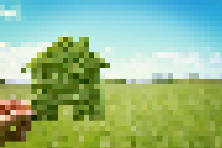 shutterstock_428219494